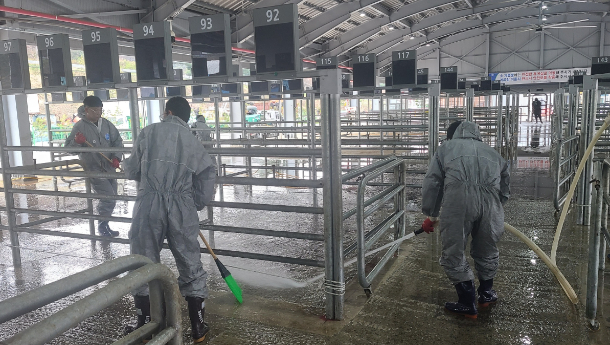 전남의 한 가축시장에서 소독과 청소 작업이 이뤄지고 있다. 전남도 제공