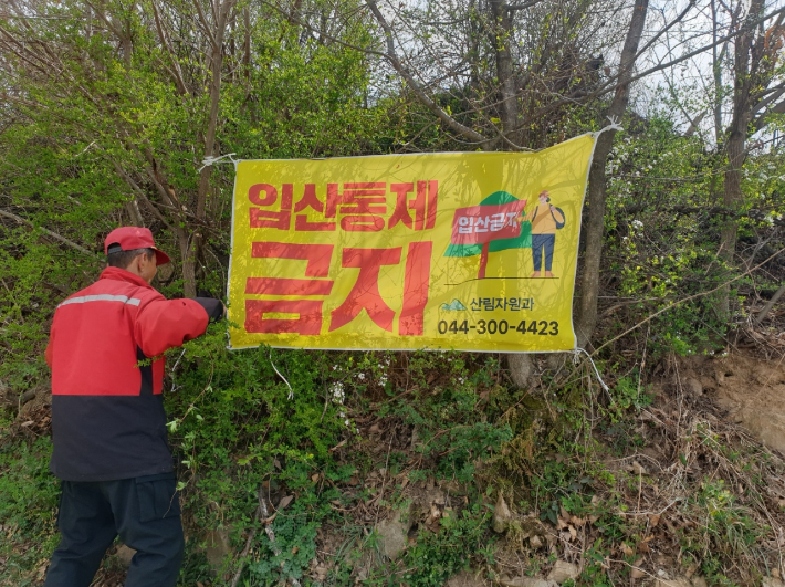 세종시 제공