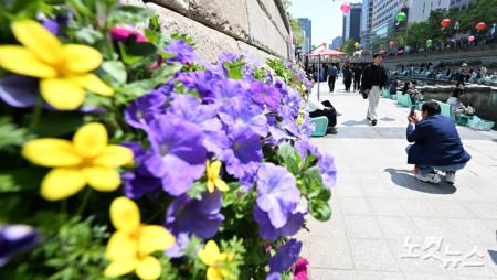 완연한 봄 날씨