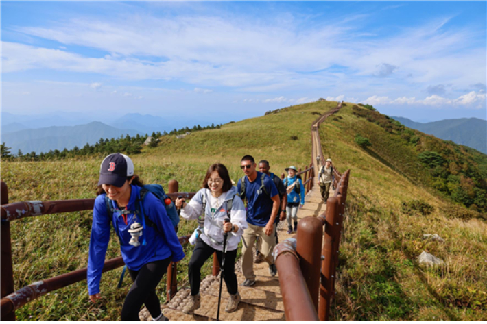 국립공원공단의 자연치유 프로그램 중 소백산 연화봉 트레킹 모습. 공단 제공