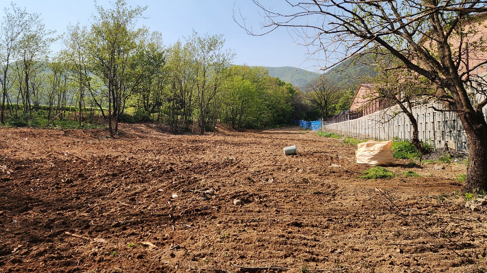 경주시 안강읍 산대리 산수골 목장 인근 임야에 쌓인 폐기물을 모두 처리한 모습. 경주시 제공