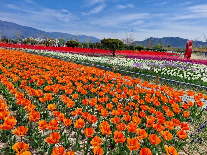 양산 황산공원. 경남도청 제공 