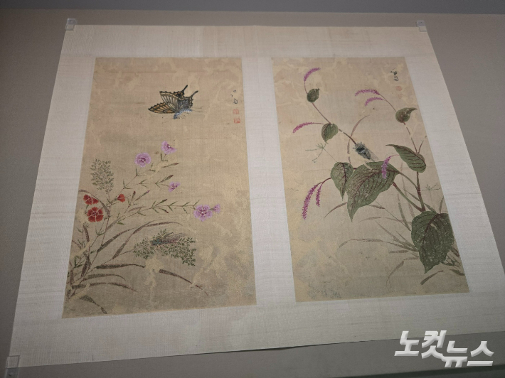 정선 화훼영모화첩 중 석죽호접과 홍료추선. 류연정 기자