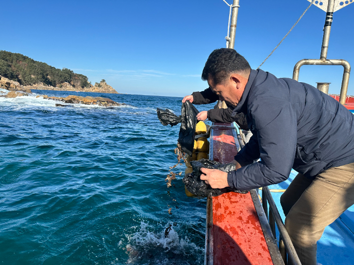해삼을 방류하고 있는 모습. 양양군 제공