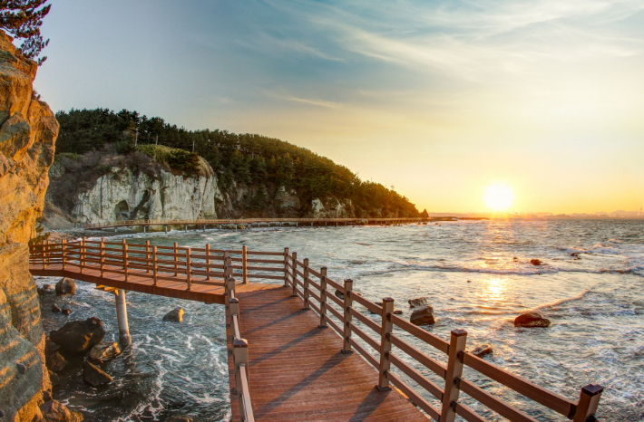 호미반도 해양둘레길. 포항시 제공