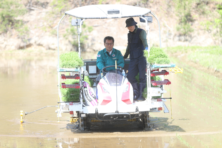 최고 품질로 평가받고 있는 신품종 '해들벼'와' 알찬미'의 첫 모내기 작업을 직접 하고 있는 김홍규 강릉시장. 강릉시 제공