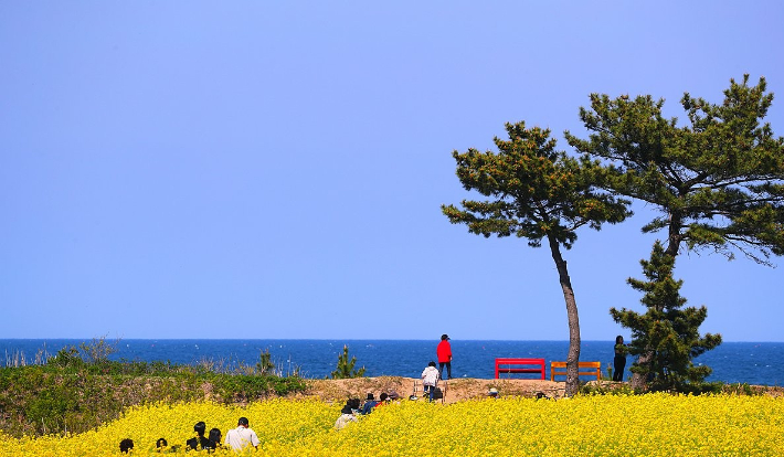 연합뉴스