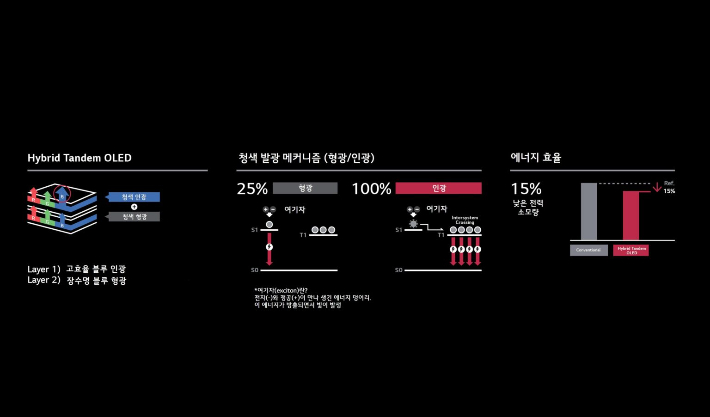 LG디스플레이 제공