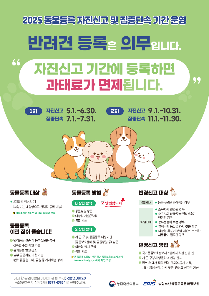 반려동물 등록 필수! 전북도, 반려견 등록 자진신고 기간 운영