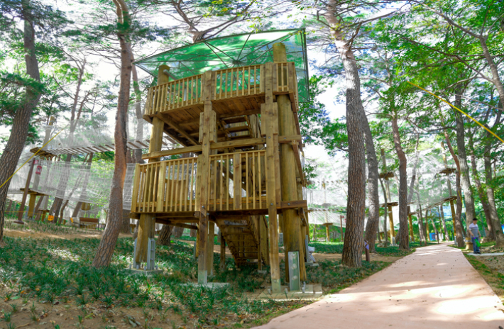 영덕 산성계곡 생태공원 어드벤처. 영덕군 제공