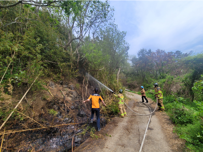 소방관들이 대나무밭 화재를 진화하고 있다. 경북소방본부 제공