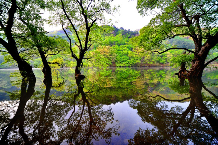 경북 최대관광지 주왕산의 비경 주산지. 호수 위로 비친 경치가 신비스러운 분위기를 만들어내고 있다. 경북도 제공 