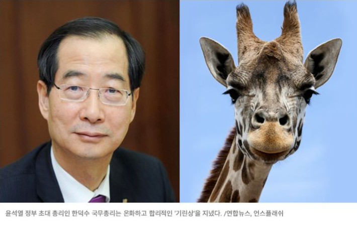 한덕수 '기린상' 빗댄 풍수지리 전문가 "욕심 내면 상황이…"[오목조목]
