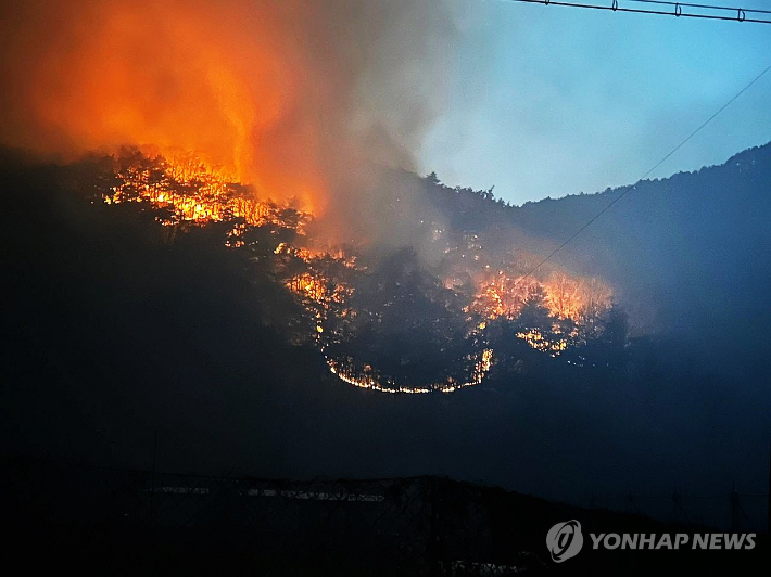 연합뉴스 제공