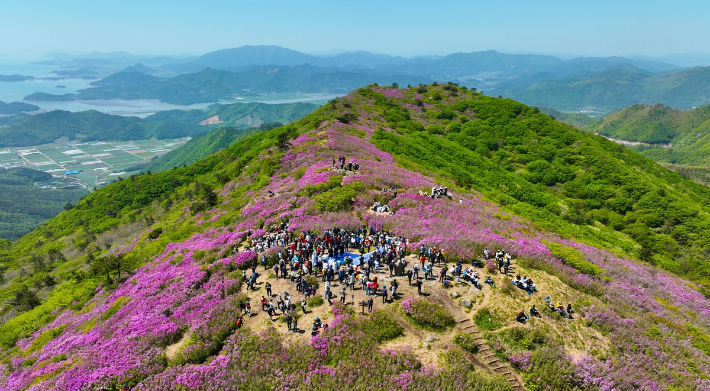 보성군, 봄 축제 올인원…연휴 특수에 '최다 인파'