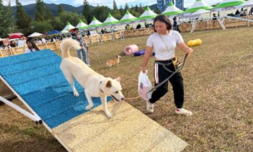부산시가 제1회 동물보호의 날 행사 개최지로 선정됐다. 부산시 제공