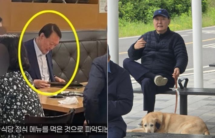 보리밥 먹고 한강공원 '개산책'…윤석열 목격담 또 확산[오목조목]