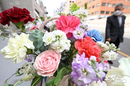 카네이션 향기 퍼지는 어버이날