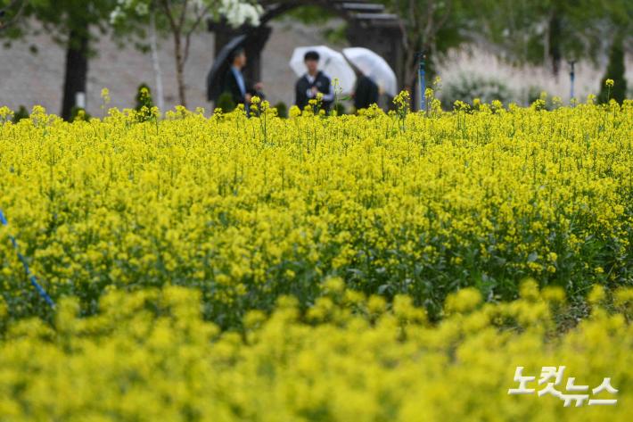 2025 구리 유채꽃 축제 개막