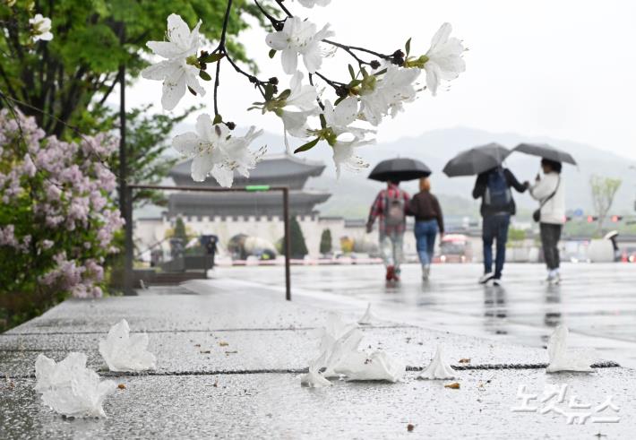 봄비 내리는 서울