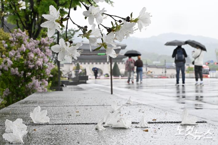 추적추적 내리는 봄비