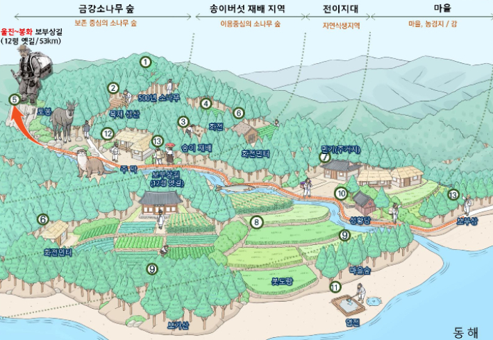 세계중요농업유산 등재를 추진하고 있는 울진금강송산지농업시스템 이미지. 울진군 제공
