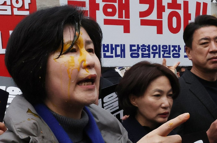 경찰, 헌재 앞 '백혜련 계란 테러' 추가 피의자 특정…소환 조사