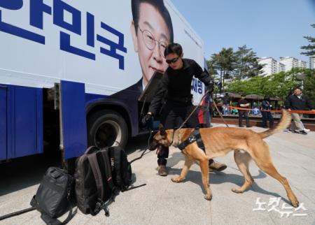 이재명 후보 유세장 점검하는 폭발물 탐지견