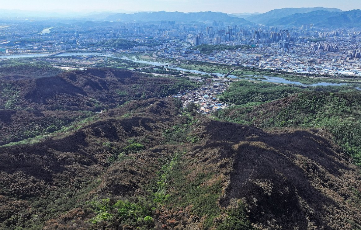 지난 2일 대구 북구 함지산 산림 일부가 대형 산불로 검게 탄 모습. 연합뉴스