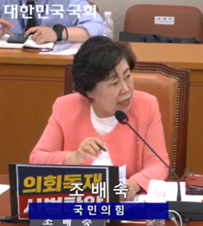 국민의힘 조배숙 의원. 국회 생중계 캡처