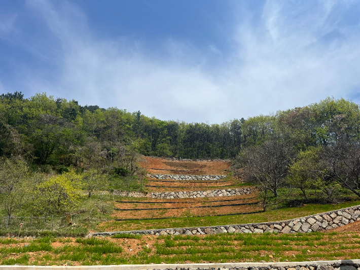 산사태 피해 복구지. 경남도청 제공 