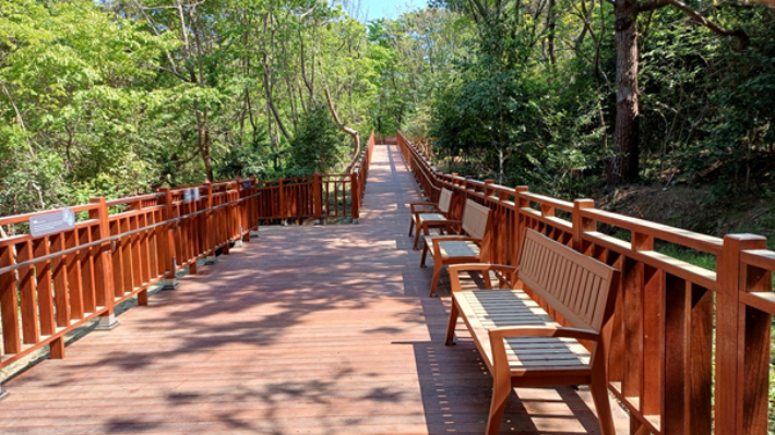 이기대예술공원에 무장애 숲속 산책길이 조성됐다.  부산시 제공