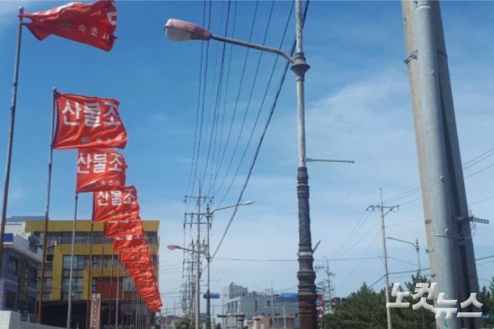 산불조심 깃발. 전영래 기자