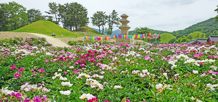 서악동 삼층석탑 작약. 경주시 제공