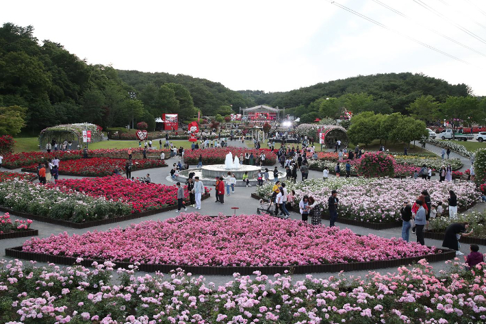 울산대공원 장미축제. 울산시 제공