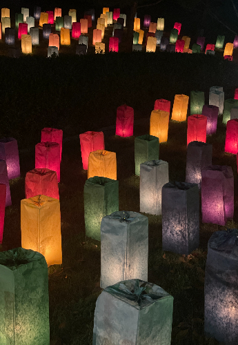 2024 원주한지문화제 '빛의 정원'. 원주한지문화제 추진위원회 제공