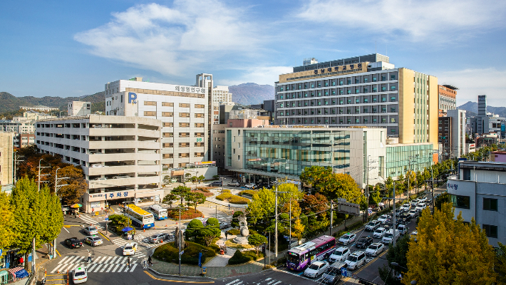 전남대병원 전경. 전남대병원 제공