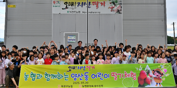 농협 광주본부(본부장 이현호)는 지난 20일 북광주농협(조합장 구상봉)과 양산동 지역아동센터 어린이 100명을 대상으로 딸기 수확 체험활동을 실시했다. 농협 광주본부 제공