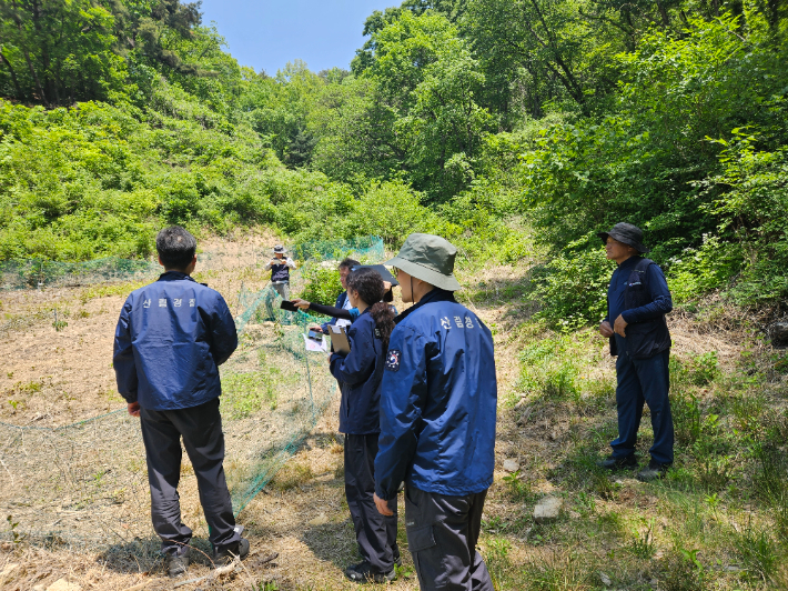 산림청, 산림 내 불법행위 집중 단속 돌입