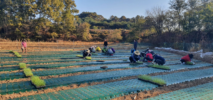 충북도 제공