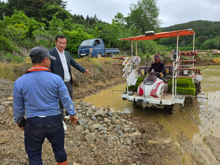 김기성 보성읍장이 모내기 현장에서 농민들과 만나고 있다. 보성군 제공