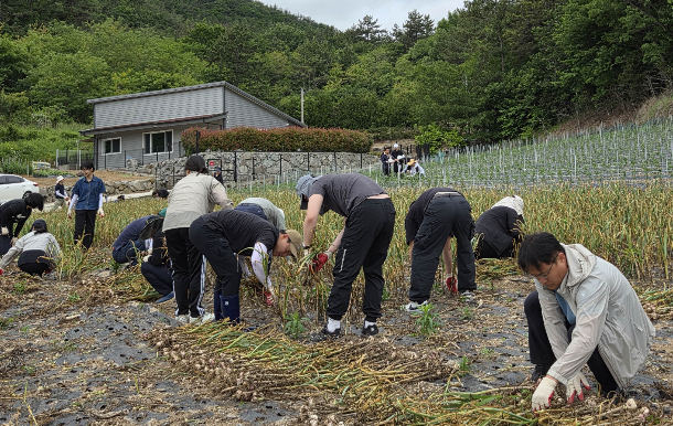 전라남도 농림축산식품국 공직자 50여 명은 지난 21일 봄철 농번기를 맞아 고흥 점암면의 마늘 재배농가에서 일손돕기를 실시했다. 전남도 제공