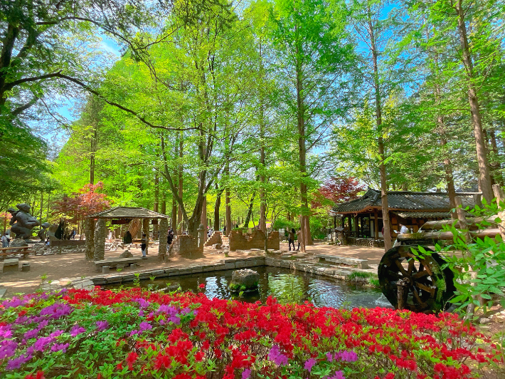 춘천 남이섬 여름 풍경. 남이섬 제공 