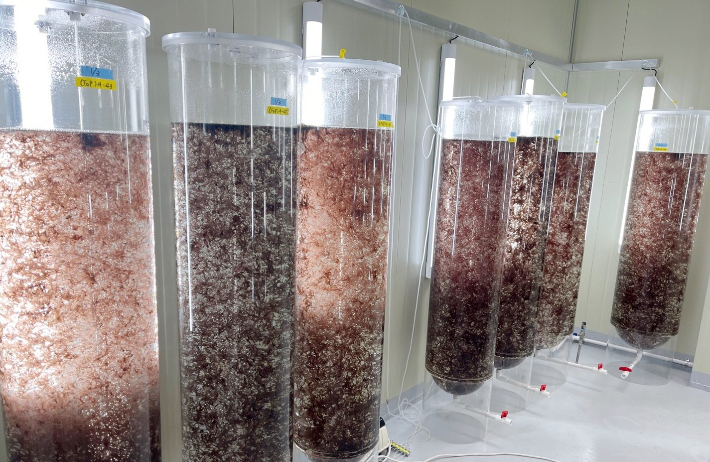 김 생산 패러다임 전환 육상 양식 기술…전북도, 350억 R&D 사업 따내