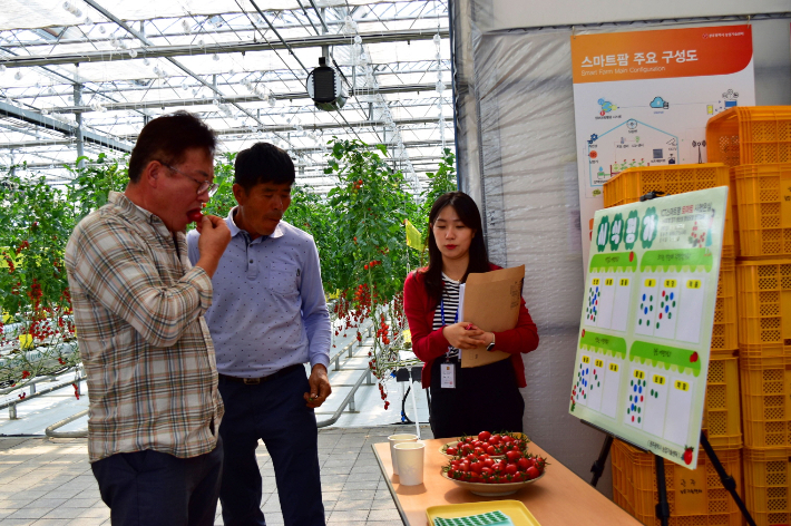 광주광역시농업기술센터는 27일 농업기술센터 스마트농업교육관과 ICT 스마트팜 시험온실에서 '2025년 데이터농업 실천 교육 및 현장 평가회'를 개최했다. 광주시 제공
