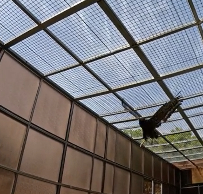 부산에서 발견된 관수리. 부산시 제공 