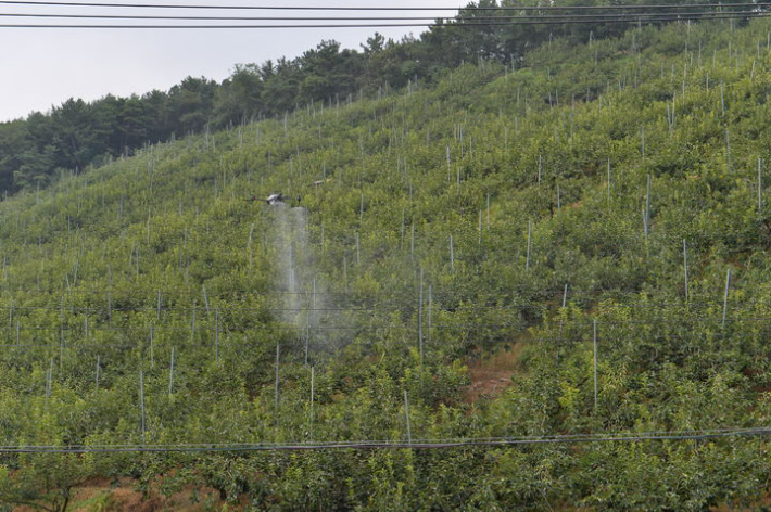 드론 방제. 경남도청 제공 