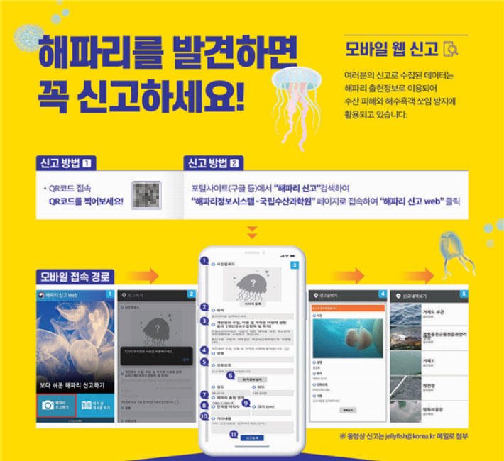 해파리 신고 방법. 해양수산부 제공