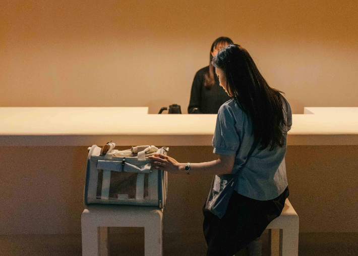 문화체육관광부 국립아시아문화전당(ACC)이 광주광역시와 함께 오는 6월 5일 ACC 복합전시 2·5·6관에서 '반려동물 동반 문화 나들이' 행사를 운영한다. ACC 제공