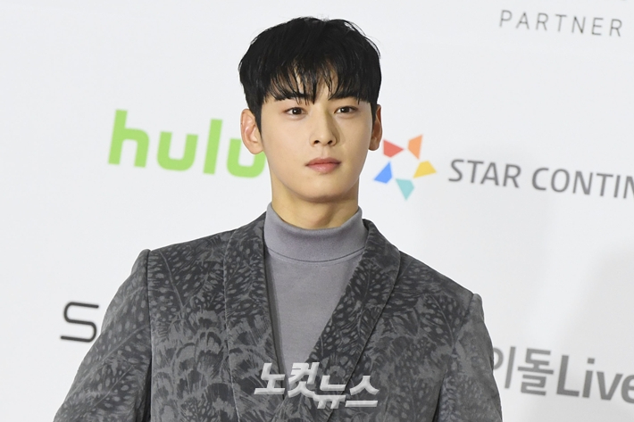 '얼굴 천재' 차은우, 군악대 합격…7월 28일 육군 현역 입대